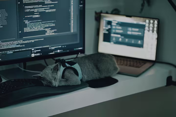 Vibe Coding — Curse or Cure? What You Need to Know in 2026